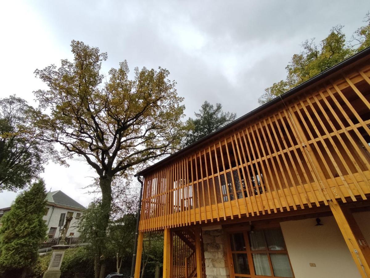 Apartment Ve Mlyne Teplice nad Metují Dış mekan fotoğraf