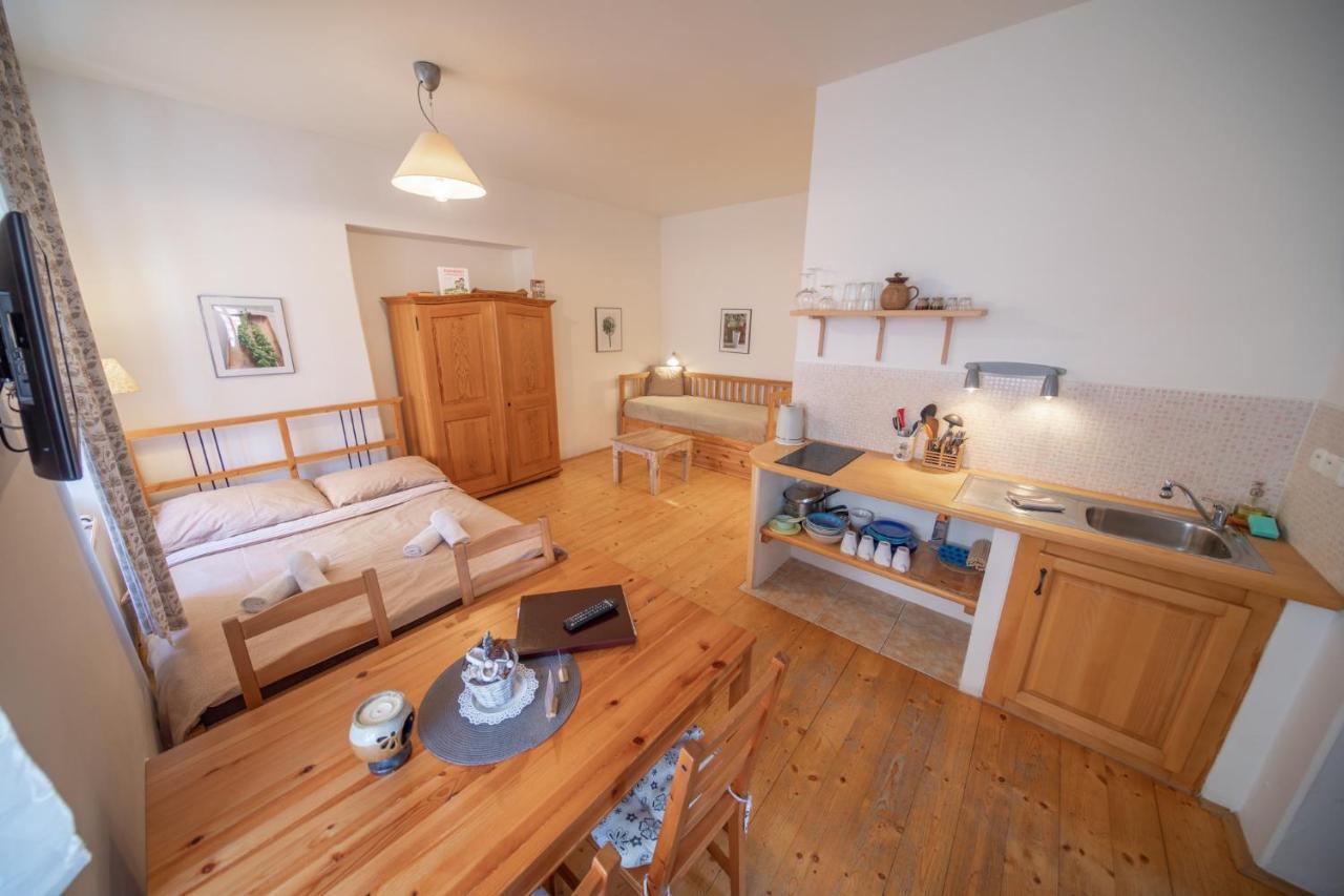 Apartment Ve Mlyne Teplice nad Metují Dış mekan fotoğraf