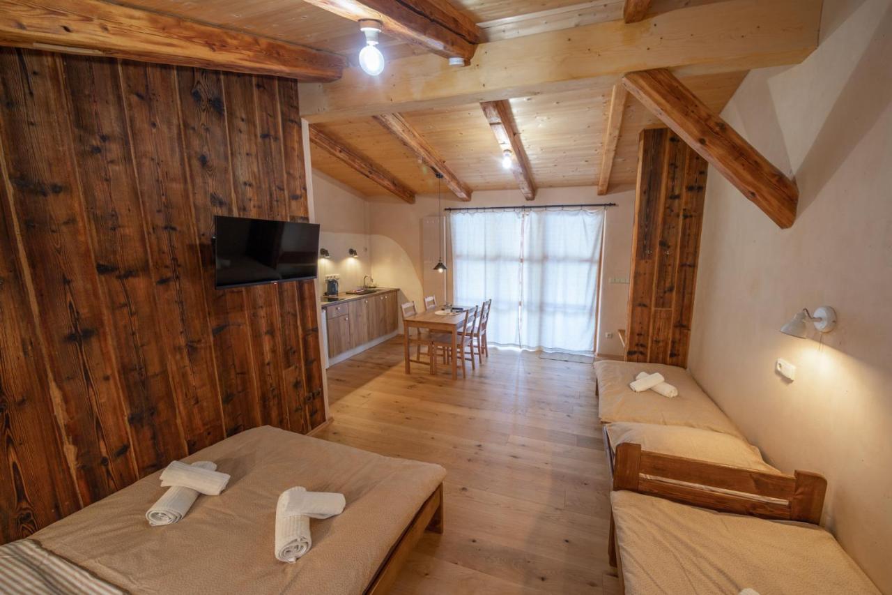 Apartment Ve Mlyne Teplice nad Metují Dış mekan fotoğraf
